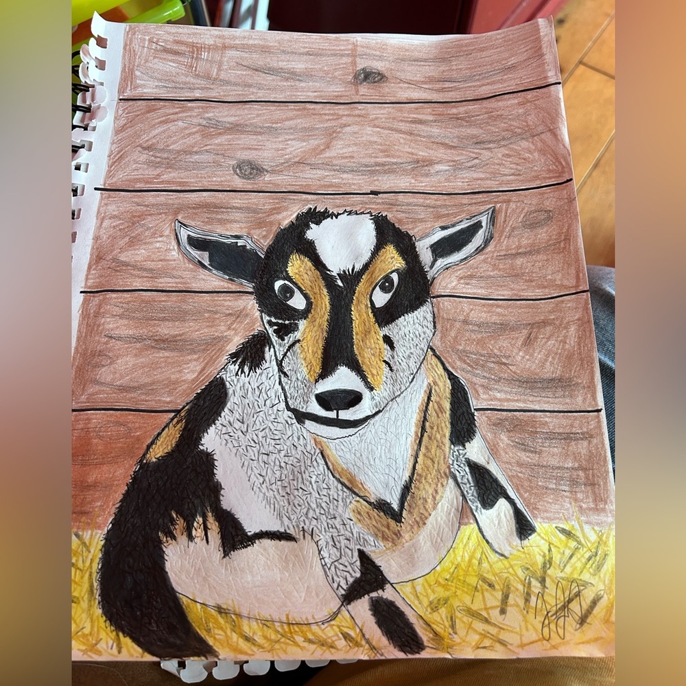 Colorful Original Goat In Barn Color Pencil Drawing